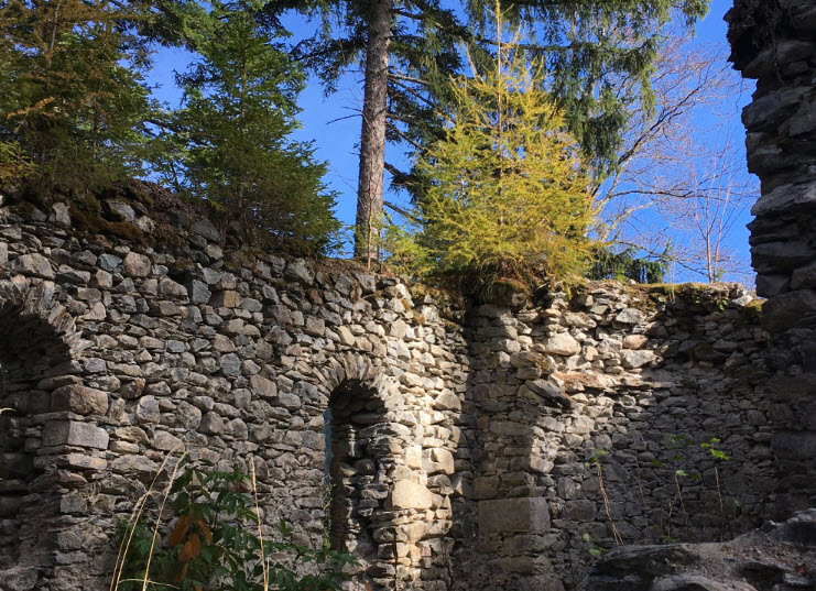 Ruin Steuerberg, Steuerberg, Austria, Austria